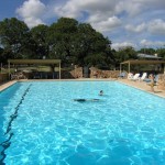 Outdoor swimming pool with people enjoying a sunny day.