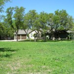 A spacious green lawn with large trees and houses in the background.