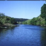River surrounded by lush green trees.