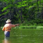 Man fly fishing in a green river.