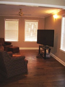 lower level living room 2