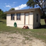 Small beige shed in a grassy backyard with a tree.